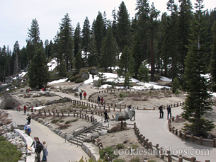 Glacier Point in Yosemite National park