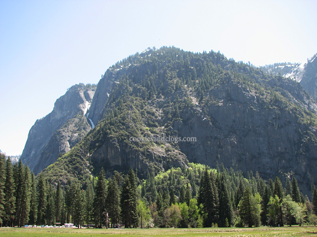 Meadow at Yosemite National Park