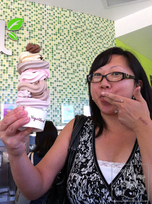 Yogurtland Burlingame Tallest Yogurt Event $1 California