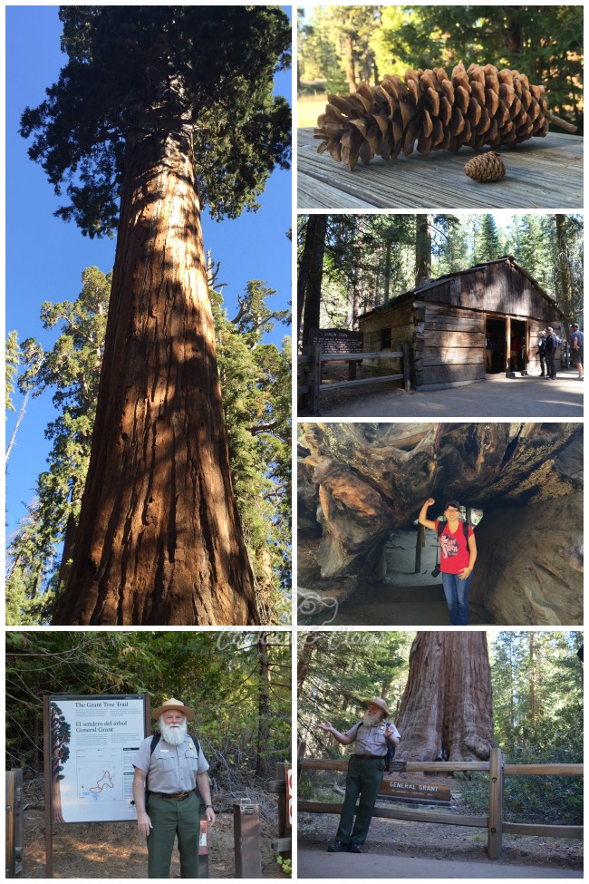 Kings Canyon National Park is in California. Use these travel ideas to decide what activities and things to do and see where you can enjoy family friendly hiking among nature.
