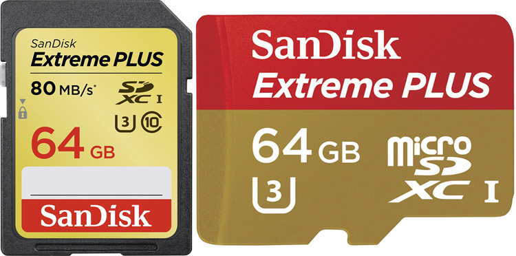 Technology | Best Buy has a ton of SanDisk memory cards and data storage options. Check out the drives with dual USB ports and the one that has a built-in lightening connector for iPhones and iPads.