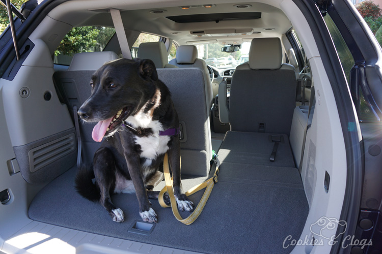 Cars | The 2016 Buick Enclave seats seven with room to spare. This mid-size SUV has a luxury feel inside that is not pretentious. It’s perfect for large families on the go.