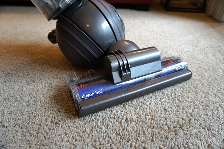 Home | Housecleaning | Technology | Electronics | The new Dyson Ball Animal upright vacuum is out but does it work well? Find out in this review featuring our family dog!