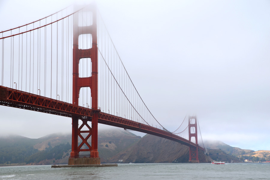 Cookies & Clogs | Travel | Looking for things to do in San Francisco with the family? Try these six day trips to see different parts of the city including Fisherman's Wharf, Chinatown, the Presidio, Muir Woods, and more. Golden Gate Bridge in the fog