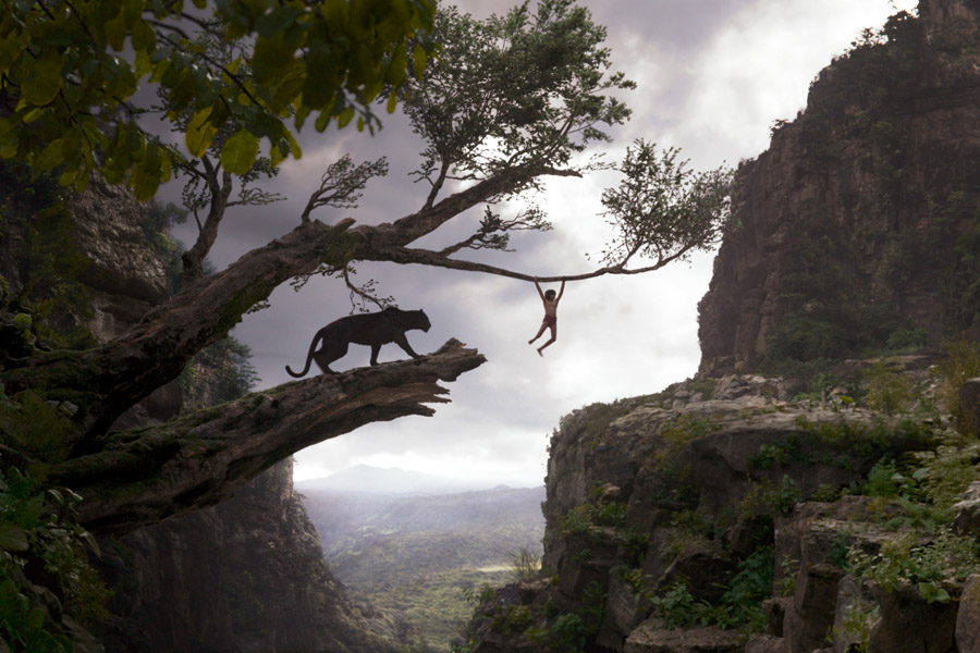Cookies & Clogs | Movies | Disney | The live-action version of The Jungle Book movie is visually appealing and full of fine storytelling. Check out this The Jungle Book movie review for families including a peek at the The Jungle Book Blu-ray Combo Pack bonus features.