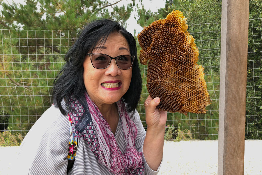 Mother Daughter Road Trip to Monterey in the 2018 Buick Enclave - Carmel Valley Ranch Beekeeping